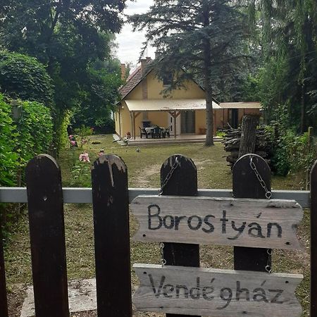 Borostyan Vendeghaz Apartment Tiszaug Luaran gambar