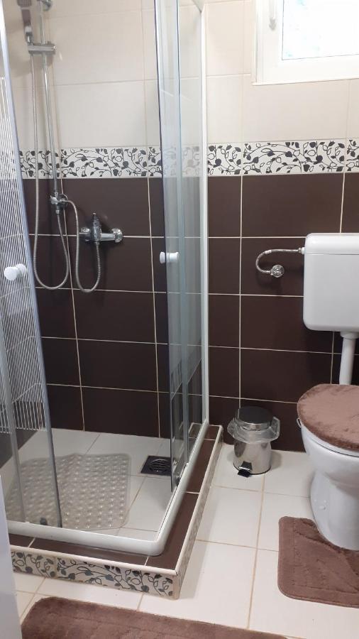 Borostyan Vendeghaz Apartment Tiszaug Luaran gambar