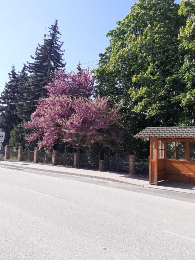 Borostyan Vendeghaz Apartment Tiszaug Luaran gambar