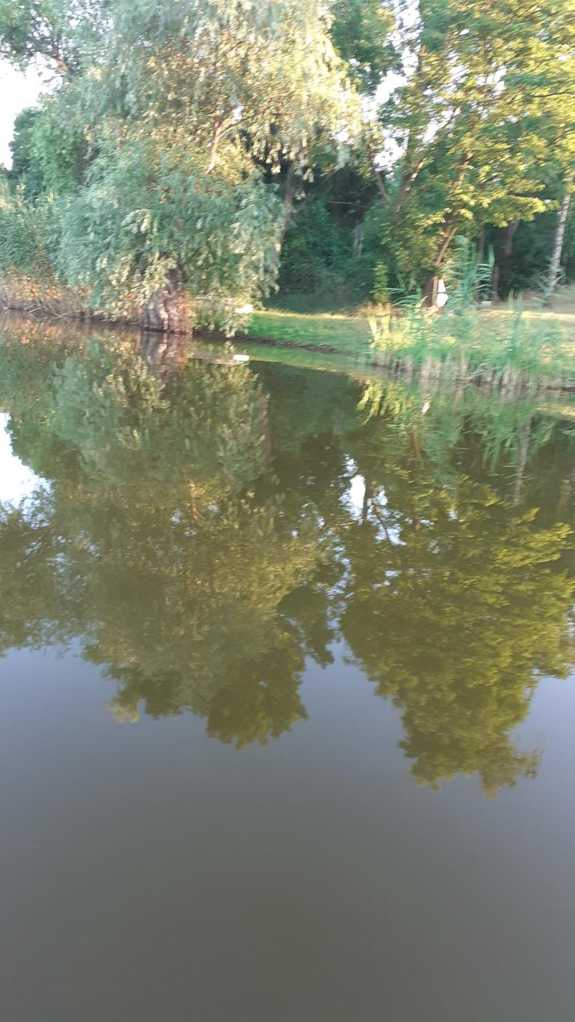 Borostyan Vendeghaz Apartment Tiszaug Luaran gambar