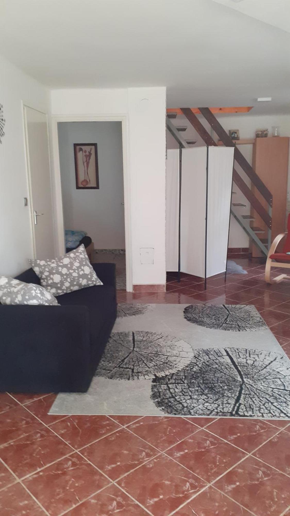 Borostyan Vendeghaz Apartment Tiszaug Luaran gambar