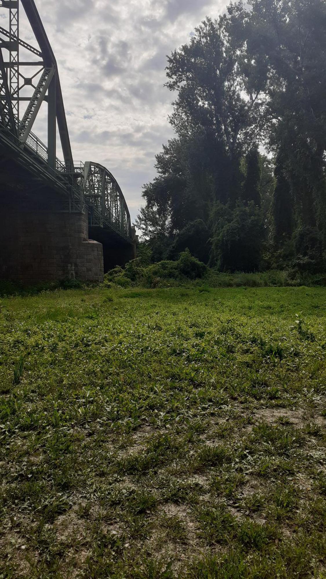 Borostyan Vendeghaz Apartment Tiszaug Luaran gambar